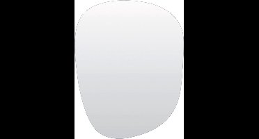 Light&living Spiegel 55x1,5x70 cm ALGEZA helder glas