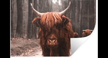Muurstickers - Sticker Folie - Schotse hooglander - Bos - Koe - Dieren - Natuur - 30x20 cm - Plakfolie - Muurstickers Kinderkamer - Zelfklevend Behang - Zelfklevend behangpapier - Stickerfolie