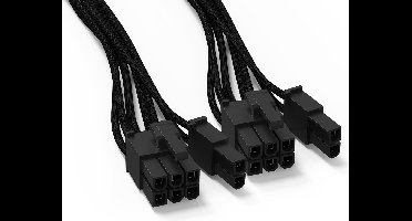 BeQuiet Computer, Stroom Kabel [2x ATX-stekker 8-polig (6+2) - 1x 12 PIN-stekker (netvoeding)] 0.60 m Zwart