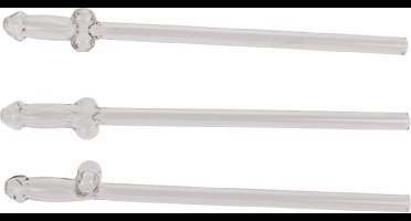 Herbruikbare Piemel Rietjes Van Glas 4 Stuks