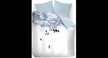 Ambiante Poul dekbedovertrek - Tweepersoons - 200x200/220 - Grijs