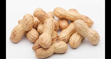 Doppinda's - Pelpinda's 20kg