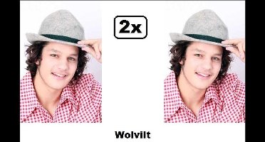 2x Tirolerhoed wolvilt grijs mt.57