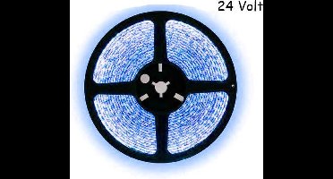 5 meter blauw led strip - 60Leds/m - 24V