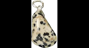 Jaspis dalmatiër edelsteen hanger