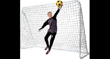 Alert Voetbaldoel - 300x205 cm