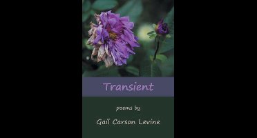 Transient
