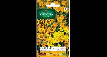 Tagetes Miniature Gemengd - Tagetes patula