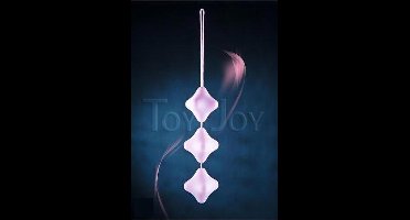 ToyJoy Dildo 3006009627