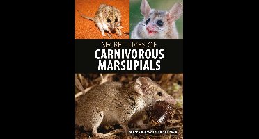 Secret Lives of Carnivorous Marsupials