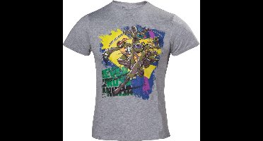 Turtles-Grey. Never Cross A-140/146