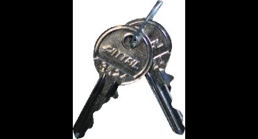 Rittal SZ 2532.000 Schakelkast sleutel Veiligheidssluiting Staal 2 stuk(s)