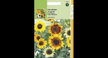 Hortitops Zaden - Helianthus cucumerifolius gemengd