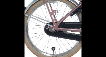 Alpina Achterwiel 20 HLQ-10A-1 silver zink spk