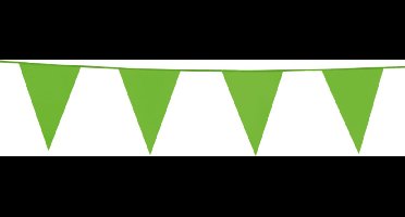 12x Vlaggenlijn Licht Groen 10 meter - Verjaardag Feest Party Festival Poolparty Decoratie