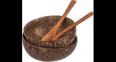 Kokosnoot schalen met lepel (2 stuks)