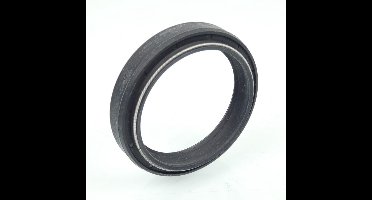 Joint spi de fourche SKF pour Moto Aprilia 1100 Tuono V4 Rr 2015 à 2019 Neuf