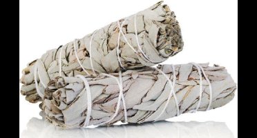 Witte Salie Smudge Fakkel - Voor Energetische Reiniging - White Sage - 3 stuks - 12 cm - 90 gram ✅