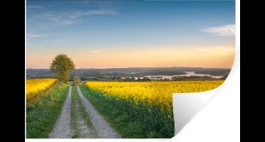 Muurstickers - Sticker Folie - Bloemenveld - Geel - Bloemen - 30x20 cm - Plakfolie - Muurstickers Kinderkamer - Zelfklevend Behang - Zelfklevend behangpapier - Stickerfolie