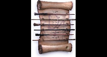 Dumbledore's Army Wand Collection (NN7728)