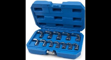 HBM 12-delige 3/8 kantelbare kraaienpoot steeksleutelset