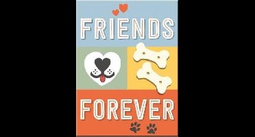 Friends Forever. Koelkastmagneet 8 cm x 6 cm.