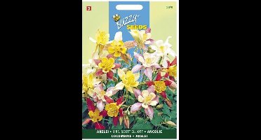Buzzy - Akelie Mrs. Scott Elliott Mix (Aquilegia vulgaris)