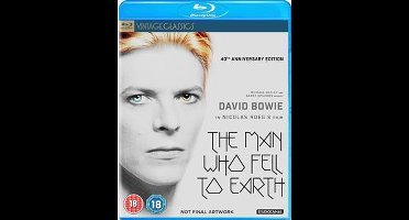 Man Who Fell To Earth