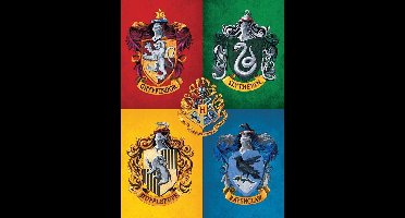 Harry Potter Canvas - Colourful Crests (40x30cm)