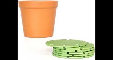 Suck UK Coaster Onderzetter - Cactus set van 6