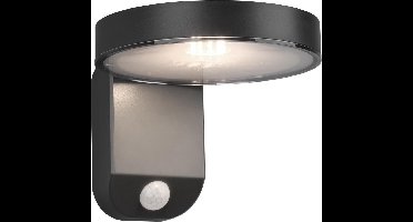REALITY POSADAS - Wandlamp - Antraciet - incl. 1x SMD 4,5W - Bewegingssensor - Zonne energie - Solar - Snoerloos - Buitenverlichting - IP44