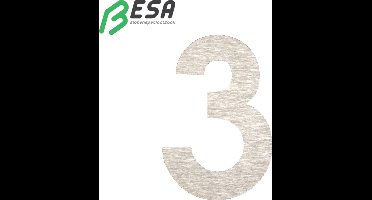 Huisnummer Fuji 50mm INOX nummer = 3 inclusief dubbelzijdige tape