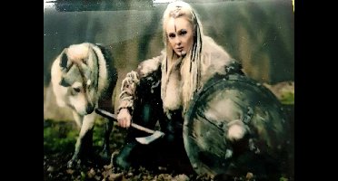 Vrouw met Wolf - 40X50CM- Diamond painting pakket - volledig dekkend - Diamant Schilderen - vierkante steentjes