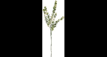 Present Time Arti Cial Tak Eucalyptus