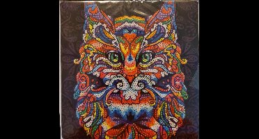 Toi Toys Diamond painting 20x20 CM dieren EXTRA glans | diamant schilderen | kat