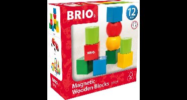 BRIO â€“ 30435 Houten blokken met magneten | Speelgoedbouwstenen voor kinderen vanaf 12 maanden