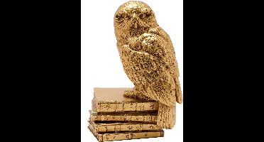 Harry Potter Hedwig Unisex beeld - goudkleurig - Standard