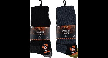 Apollo thermo werksok 3st Multicolour 39/42
