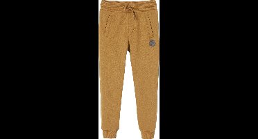 Vertbaudet Joggingbroek van molton jongens