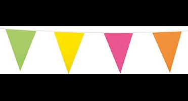 Vlaggenlijn Multikleur 10 meter - Vlaggenlijn Vlag Vlaglijn Festival Feest Party Feest Thema