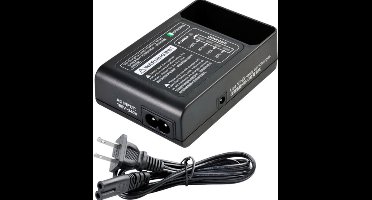 Godox Charger for Ving Flashes