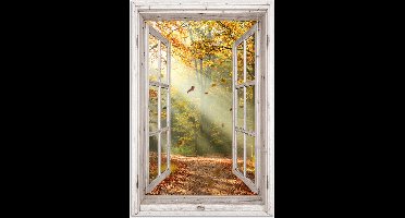 Poster 20x30 cm - Bos - Bomen - Herfst - Zon - Herfstbladeren - Natuur - Doorkijk - Posters - Kamer decoratie - Wanddecoratie woonkamer - Muurdecoratie slaapkamer