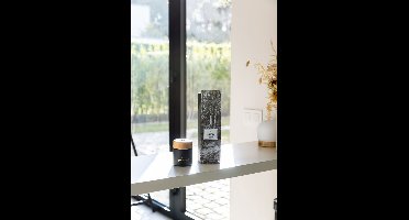 ExcluJess - Forest Mist Geurstokjes - Evergreen & Silver Birch - 200 ml - unieke verpakking