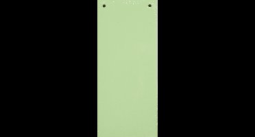 Exacompta 12x Pak van 100 horizontale tabstroken met perforatie 180g - 105x240mm - Groen - 13345B
