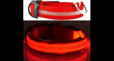 *** Lichtgevende halsband - LED-Halsband - Honden halsband - Halsband - Rood - XS - 45-52 cm Dierenband - Collar - Lichtgevende hond tijdens het uitlaten - van Heble® ***