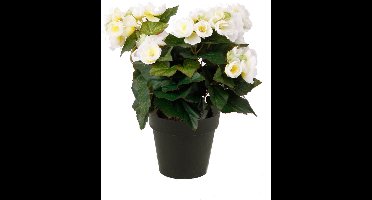 Emerald - Kunstplant Begonia in pot 30cm wit - Kunstplant voor binnen