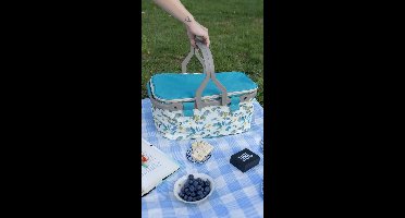 Geïsoleerde Koeltas| Lunchtas| Thermotas| 22 Liter| Picknicktas| Isolatie| Kamperen