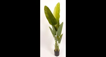 Oosterik home - Trave palm 220 cm kunstplant Oosterik Home