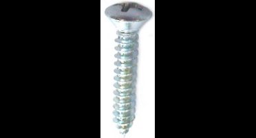 parker gegalvaniseerd lenskop kruiskop 2.9x13mm (200st.)