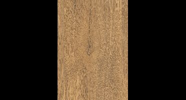 EGGER Laminaatvloeren NatureSense Aqua EL2096 Elva eiken honing 8mm, 2,543m²